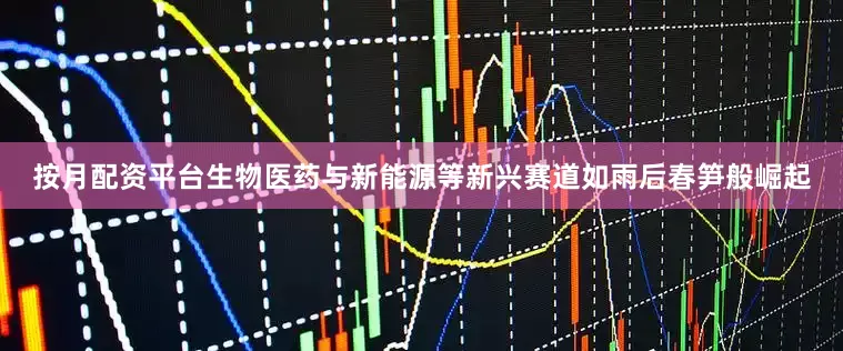 按月配资平台生物医药与新能源等新兴赛道如雨后春笋般崛起